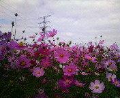 a0028482_14162826.jpg