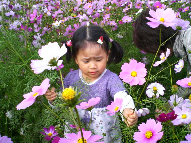 a0028482_14264921.jpg