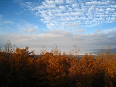 e0100086_16125372.jpg