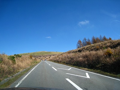 e0100086_1613409.jpg