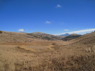 e0100086_16144490.jpg