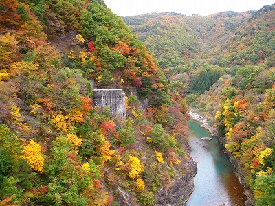 e0100086_1693022.jpg