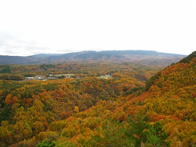 e0100086_1695052.jpg