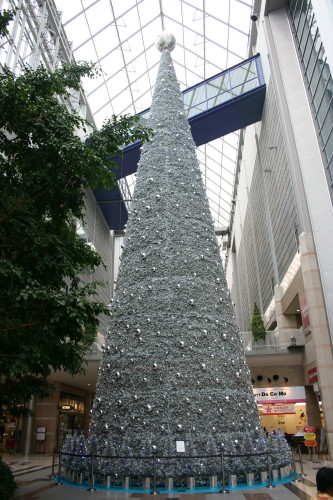 b0118987_618877.jpg