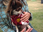 c0130389_21312882.jpg