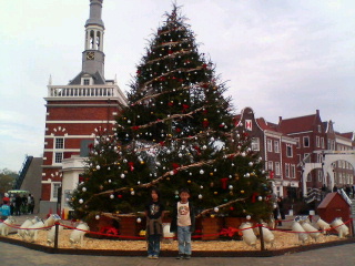 a0089790_2038176.jpg