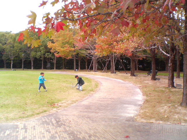 a0089790_204356.jpg