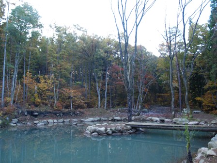 c0031794_2251856.jpg