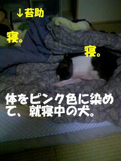 c0092097_0122451.jpg