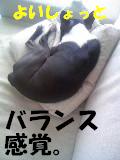c0092097_052662.jpg