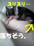 c0092097_06792.jpg