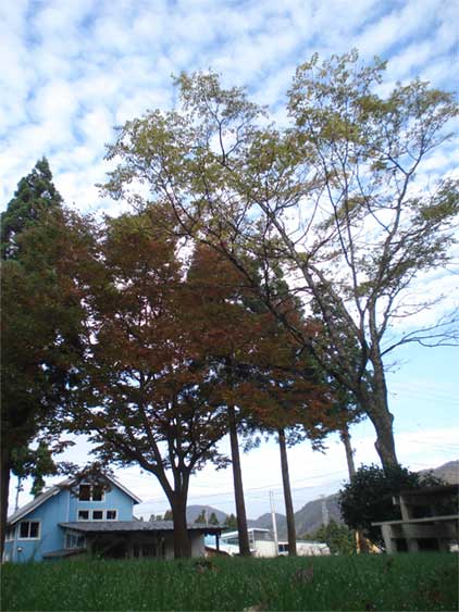a0061599_8341531.jpg