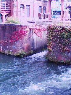 d0117999_181963.jpg