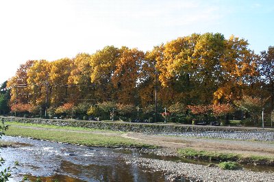 e0122199_22333137.jpg