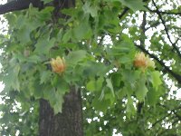 e0122199_2234038.jpg