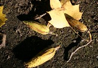 e0122199_22343442.jpg