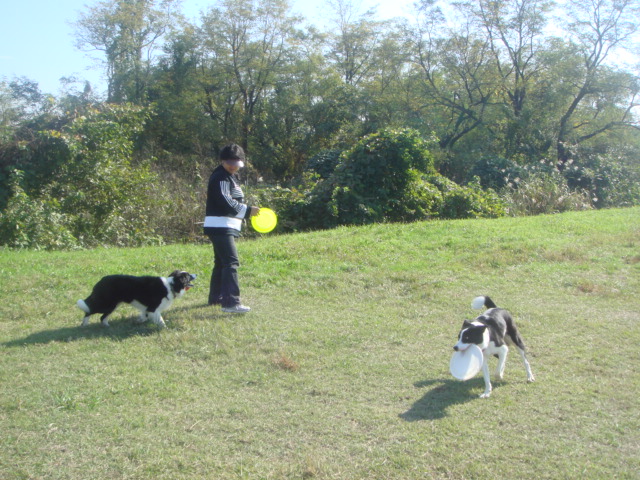 c0133303_0232265.jpg