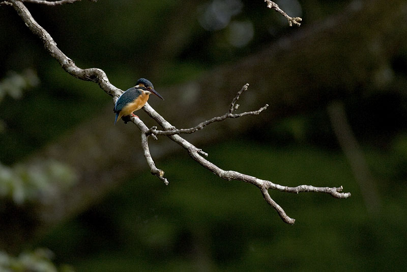 f0063403_22362471.jpg