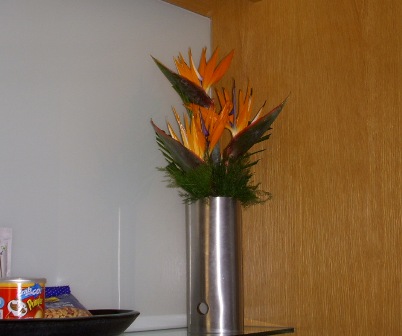 f0004309_11335479.jpg