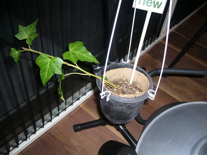 f0033510_126502.jpg