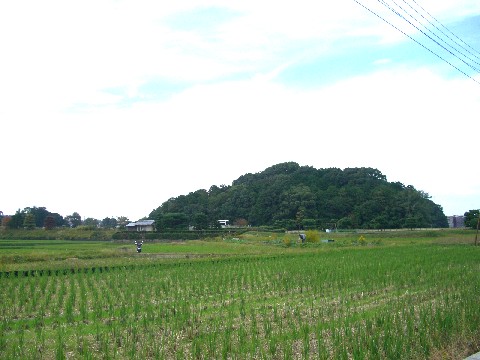 d0007913_16502460.jpg
