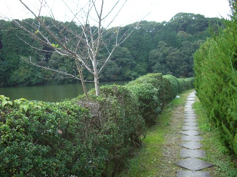 d0007913_16504472.jpg