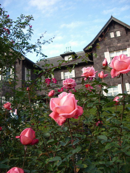 b0010914_21325985.jpg