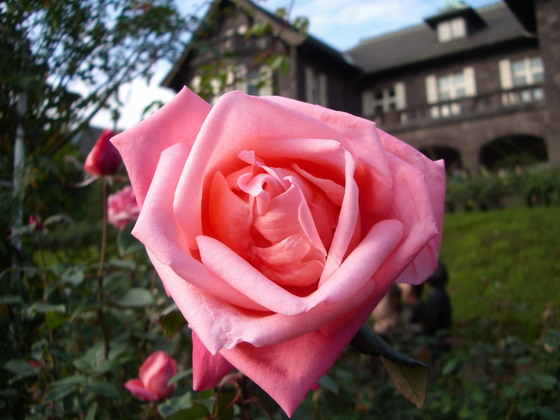 b0010914_21333283.jpg