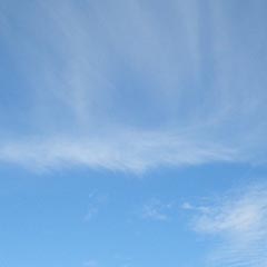 c0036617_1836711.jpg