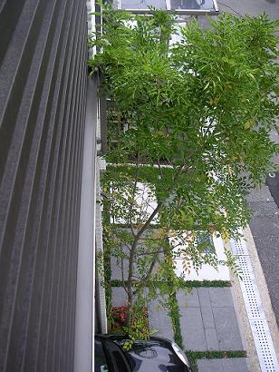 e0050218_2392470.jpg