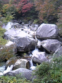 c0093819_1042296.jpg