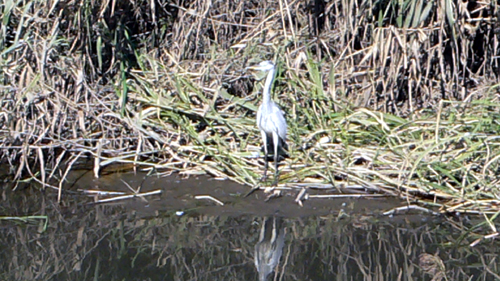 f0060424_16141030.jpg