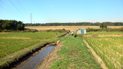 f0060424_168230.jpg