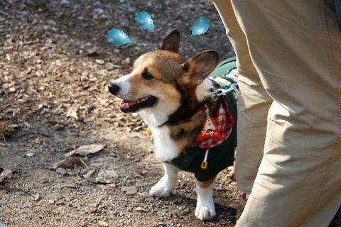 e0071225_2471596.jpg