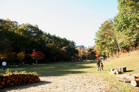 e0071225_2534534.jpg