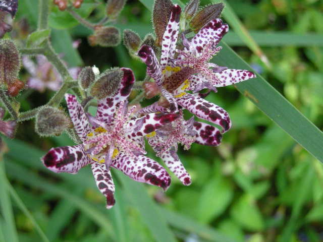 d0127926_2012656.jpg