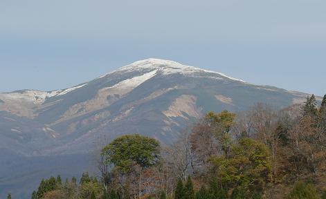 f0118332_2323305.jpg