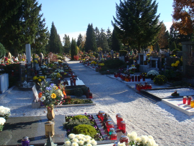 c0131234_131282.jpg