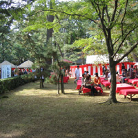d0033734_1145313.jpg