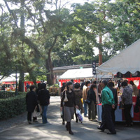 d0033734_13552229.jpg