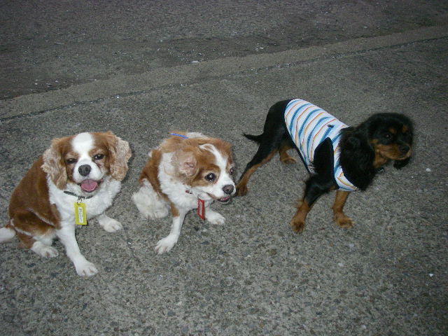 c0136838_034506.jpg