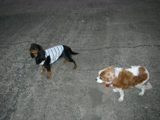 c0136838_036463.jpg