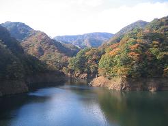 b0024439_1084843.jpg