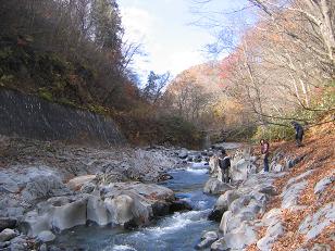 b0024439_9195512.jpg