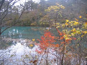 b0024439_934476.jpg