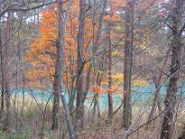 b0024439_96299.jpg