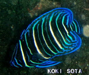 e0027447_14392315.jpg