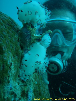 e0027447_1443165.jpg