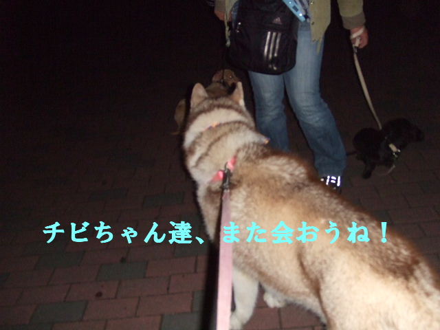 e0121548_22323189.jpg
