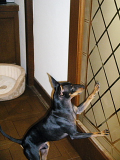 c0123149_1535526.jpg